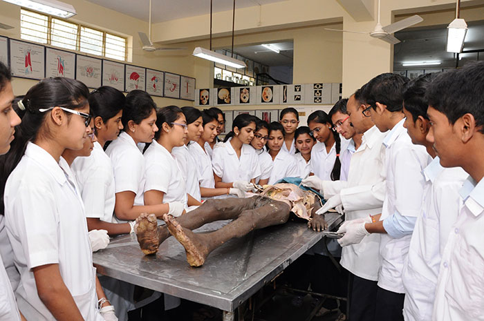 Anatomy & physiology